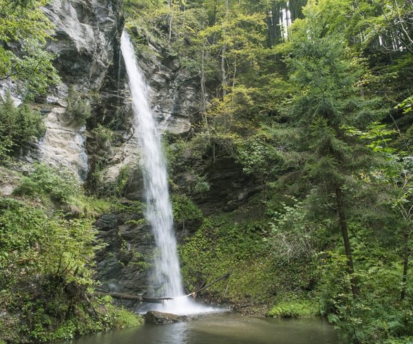 Ausflug zum Finsterbachwasserfall im Urlaub am Campingplatz in Österreich